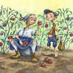 Tomato Patch