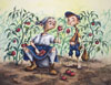 Tomato Patch